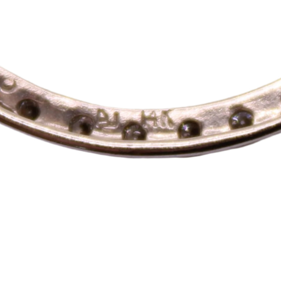 Alwand Vahan 14kt White Gold Diamond 0.50CT Eternity Circle Pendant